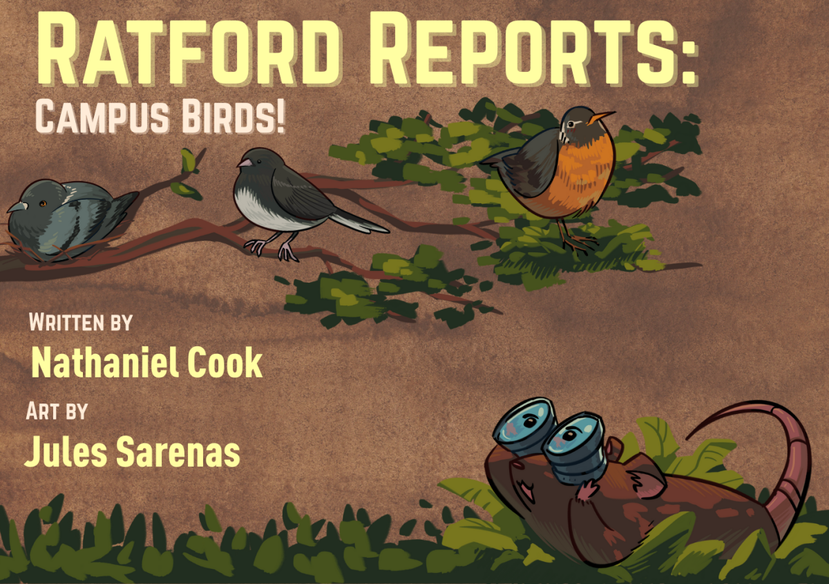 Ratford Reports: Campus Birds!
