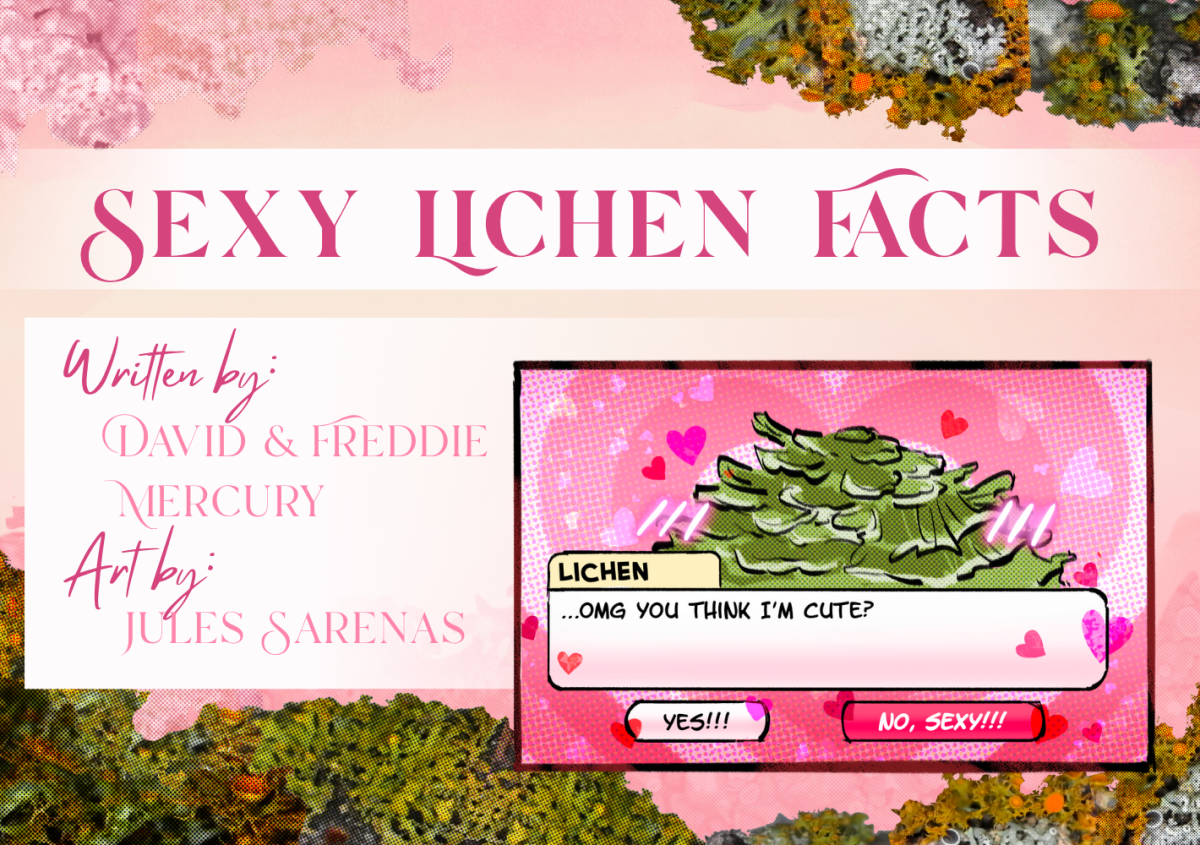 Sexy Lichen Facts