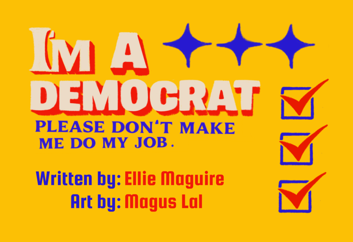 I'm a Democrat, Please Don't Make Me Do My Job